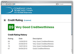 company credit report