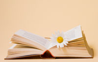 Stat Books Maintenance of Statutory Books