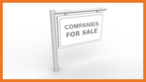 New Micro-site Launched:  “All you need to know about… Limited Companies for Sale”