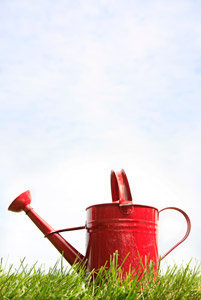 The Company Formation Process: Don’t forget to Complete